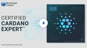 Certified Cardano Expert