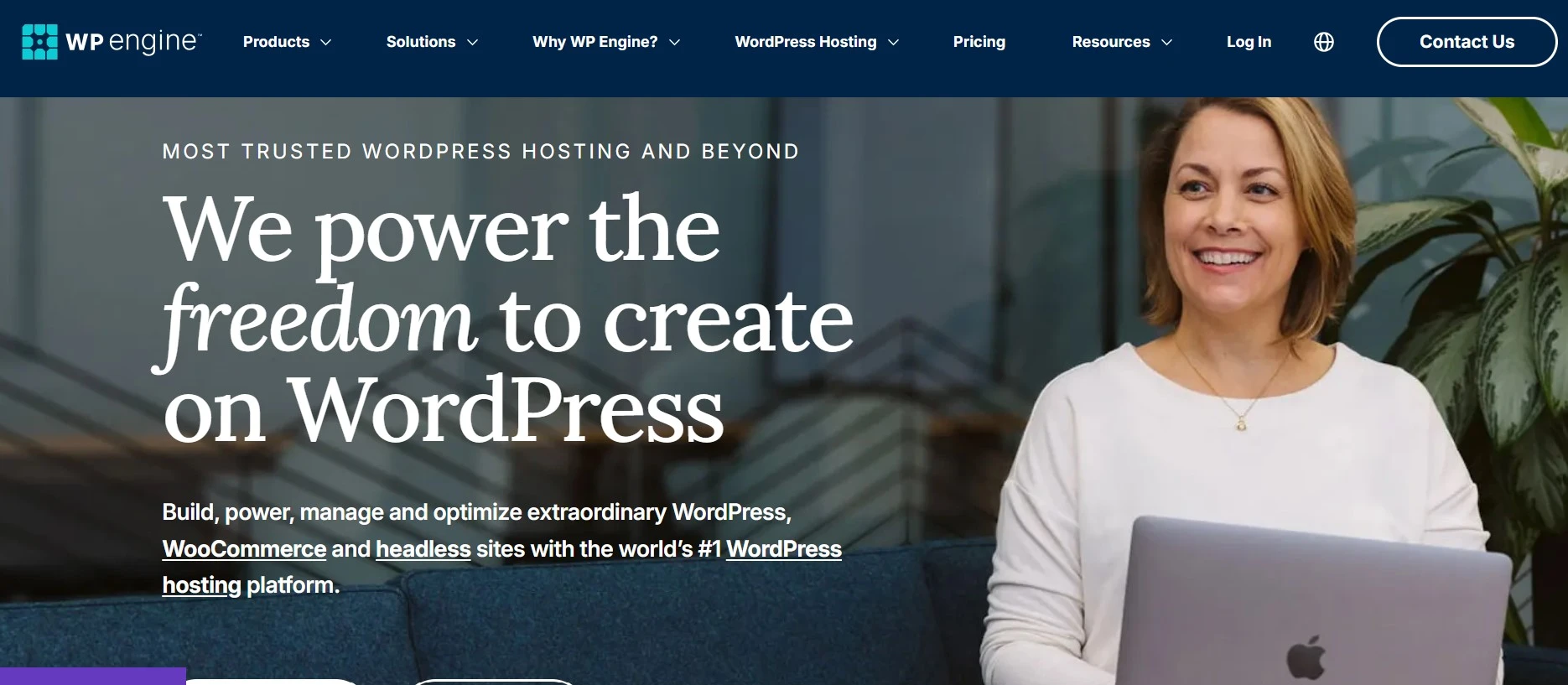 WP Engine - Web Hosting for News Website